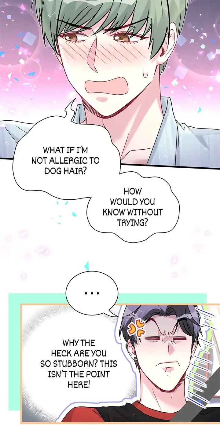 Whose Baby is it? Chapter 287 Online - página 15