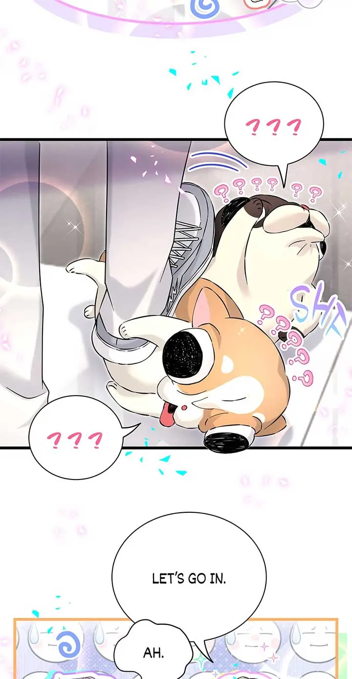 Whose Baby is it? Chapter 287 Online - página 27