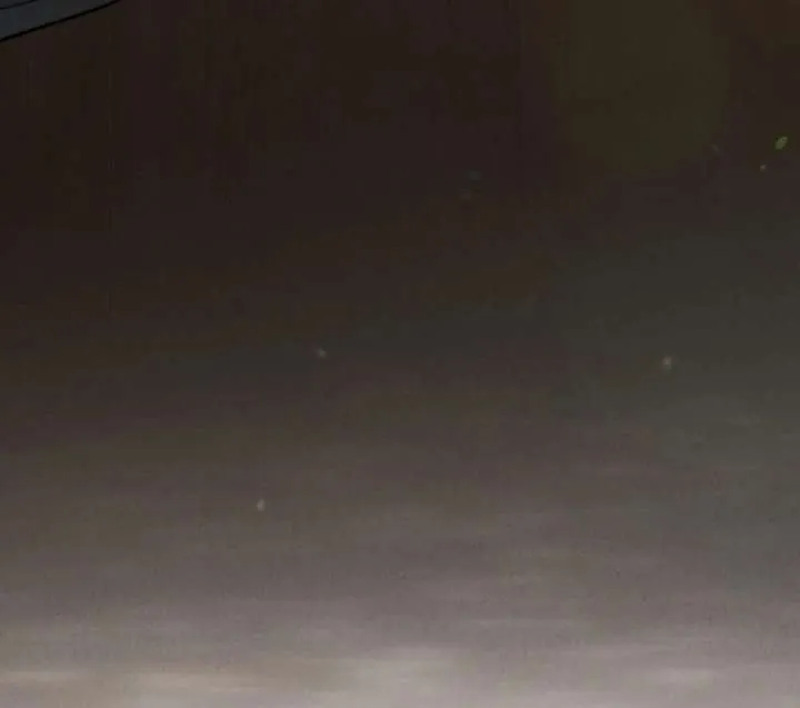 Wild Night Chapter 78 Online - página 94