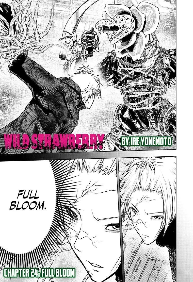 Wild Strawberry Chapter 24 Online - página 1