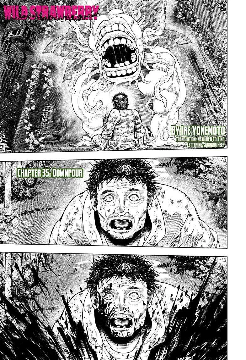 Wild Strawberry Chapter 35 Online - página 1