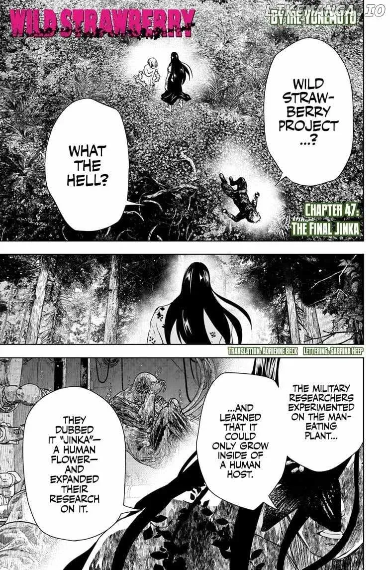 Wild Strawberry Chapter 47 Online - página 1