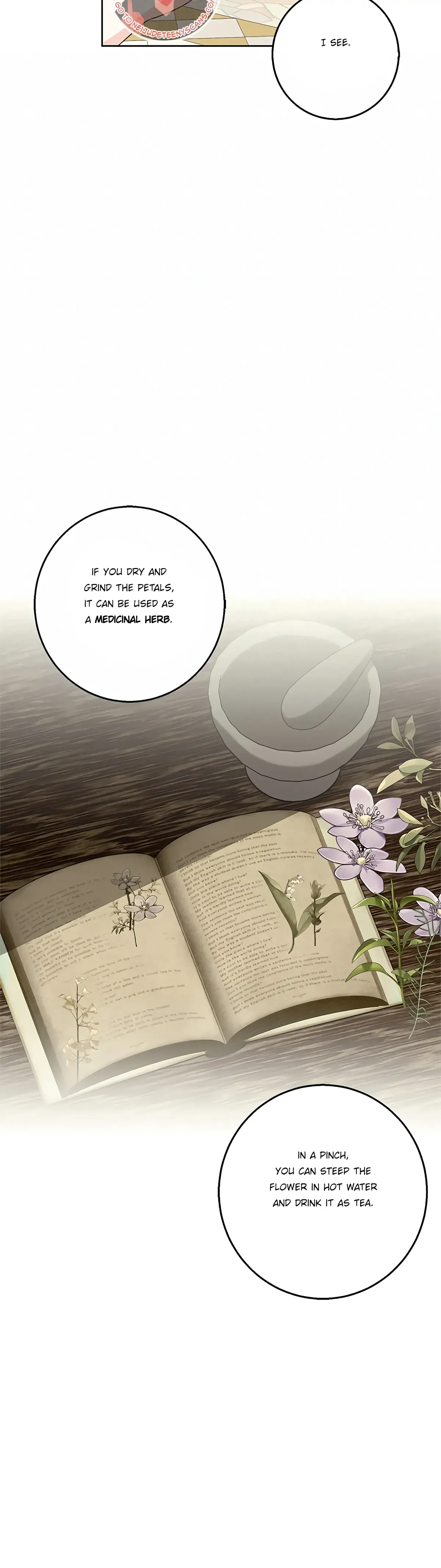 Winter Wolf Chapter 45 Online - página 25