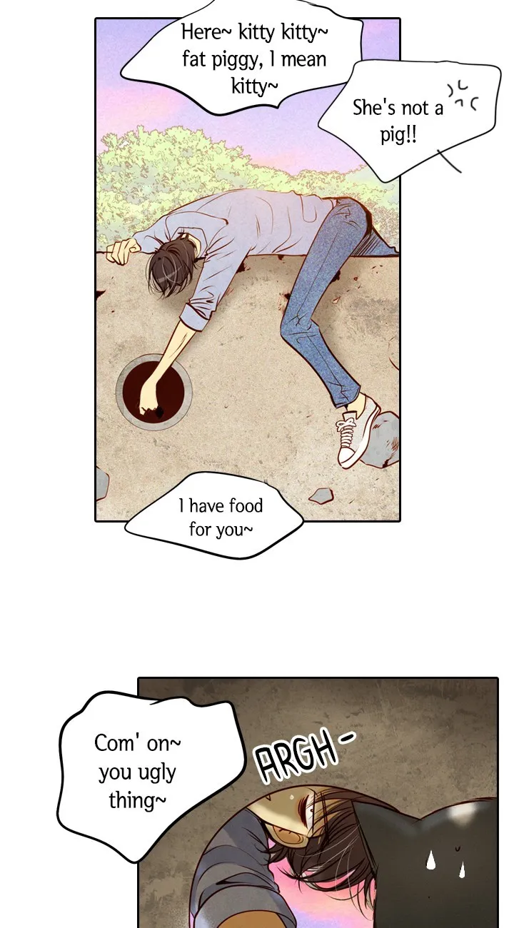Witch Workshop Chapter 34 Online - página 32