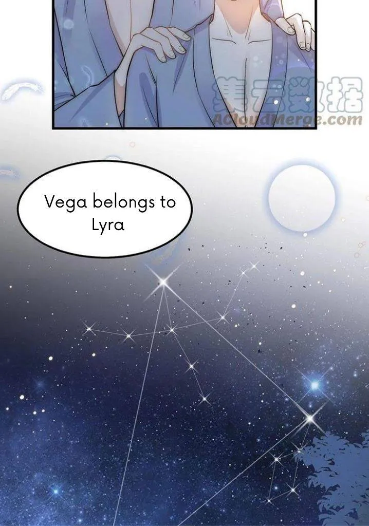 Your distance Chapter 68 Online - página 25