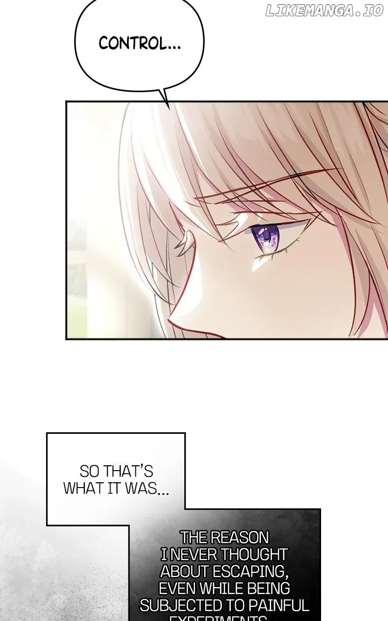Your Highness i Decide My Fate Chapter 13 Online - página 17