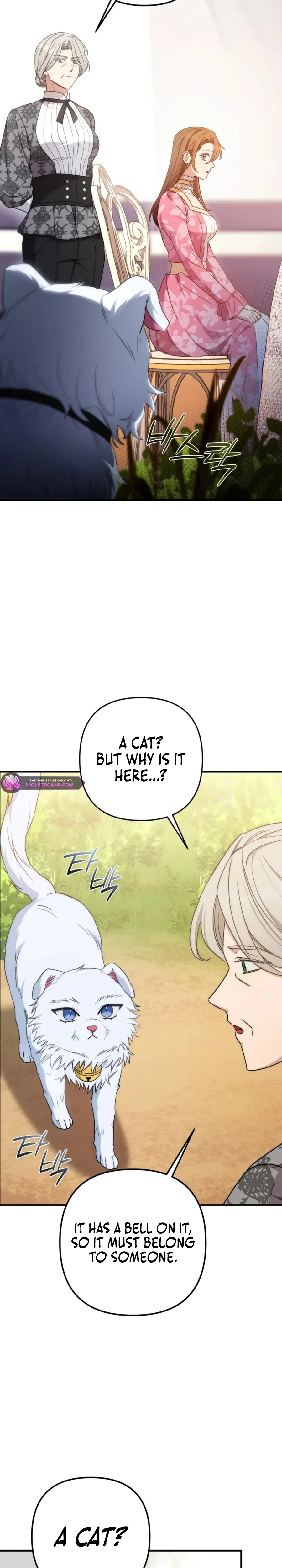 Your Majesty, Please Stop Now Chapter 28 Online - página 17