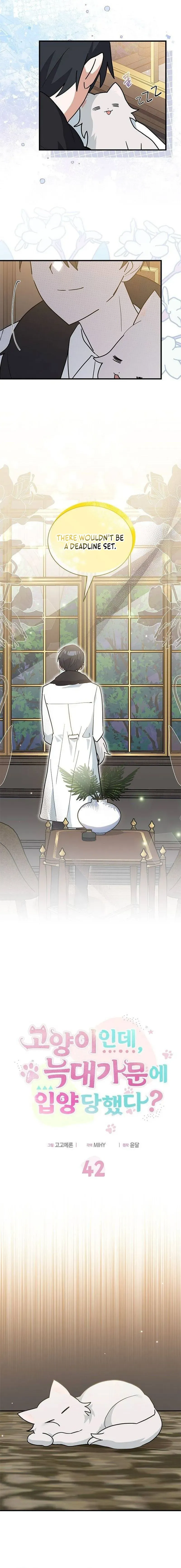 You’re a Cat, But You’ve Been Adopted by a Wolf Family? Chapter 42 Online - página 6