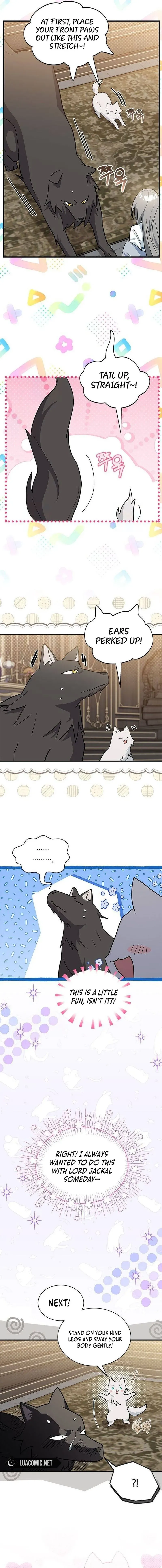 You’re a Cat, But You’ve Been Adopted by a Wolf Family? Chapter 42 Online - página 9