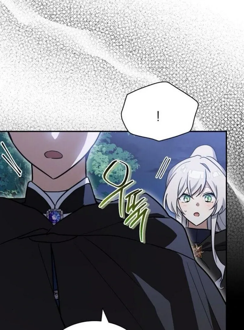 You’re a Cat, But You’ve Been Adopted by a Wolf Family? Chapter 70 Online - página 27