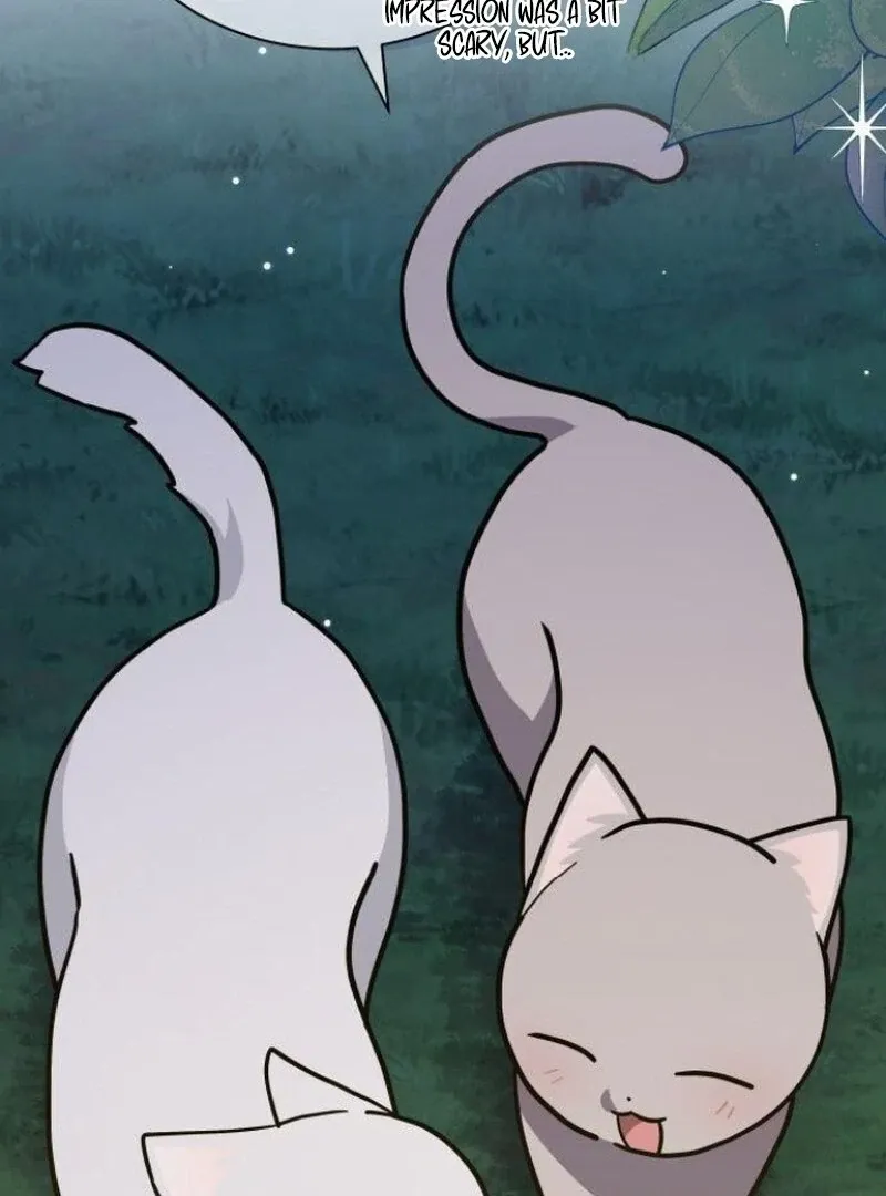 You’re a Cat, But You’ve Been Adopted by a Wolf Family? Chapter 72 Online - página 53