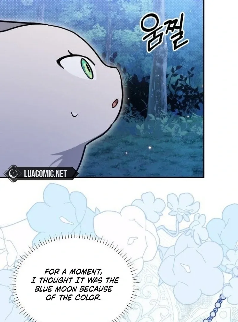 You’re a Cat, But You’ve Been Adopted by a Wolf Family? Chapter 72 Online - página 69