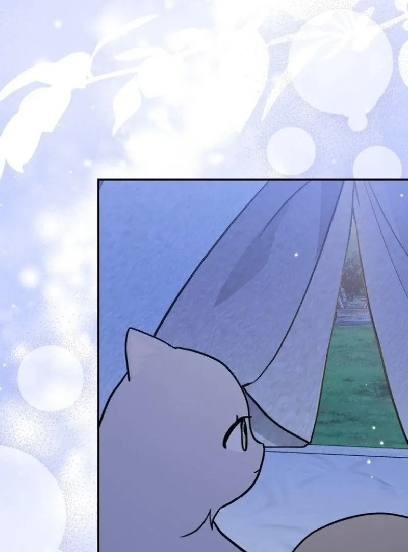 You’re a Cat, But You’ve Been Adopted by a Wolf Family? Chapter 73 Online - página 81