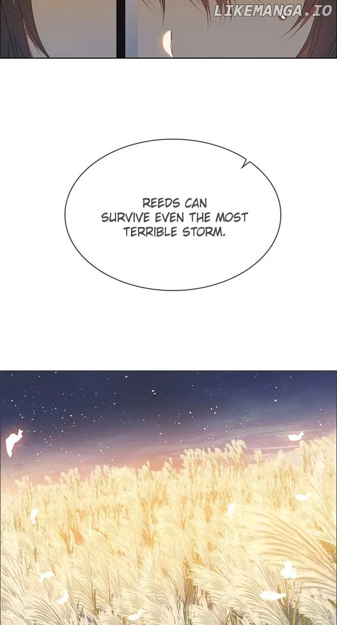 Zero Game Chapter 243 Online - página 47