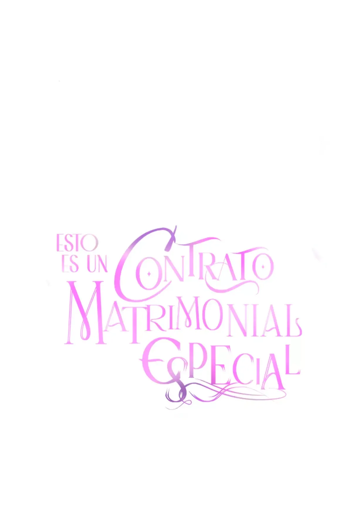 ESTO ES UN CONTRATO MATRIMONIAL ESPECIAL Capítulo 27 en Línea - página 12