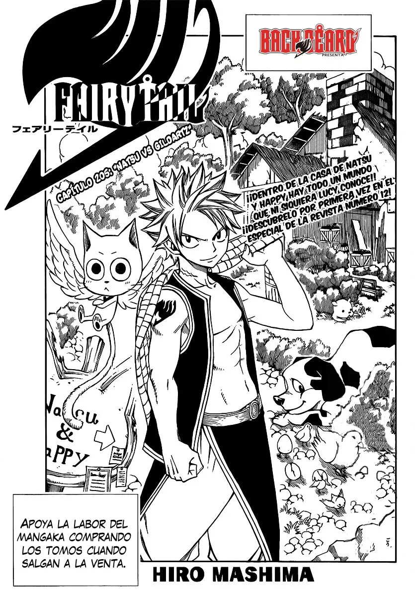 Fairy Tail Capítulo 205 en Línea - página 1