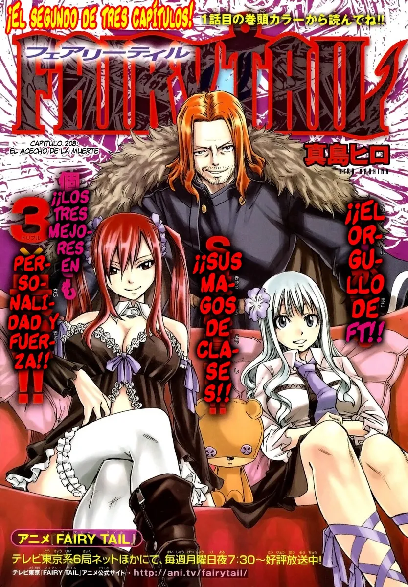 Fairy Tail Capítulo 208 en Línea - página 1
