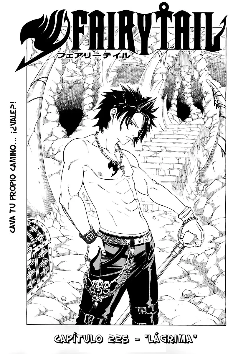 Fairy Tail Capítulo 225 en Línea - página 1