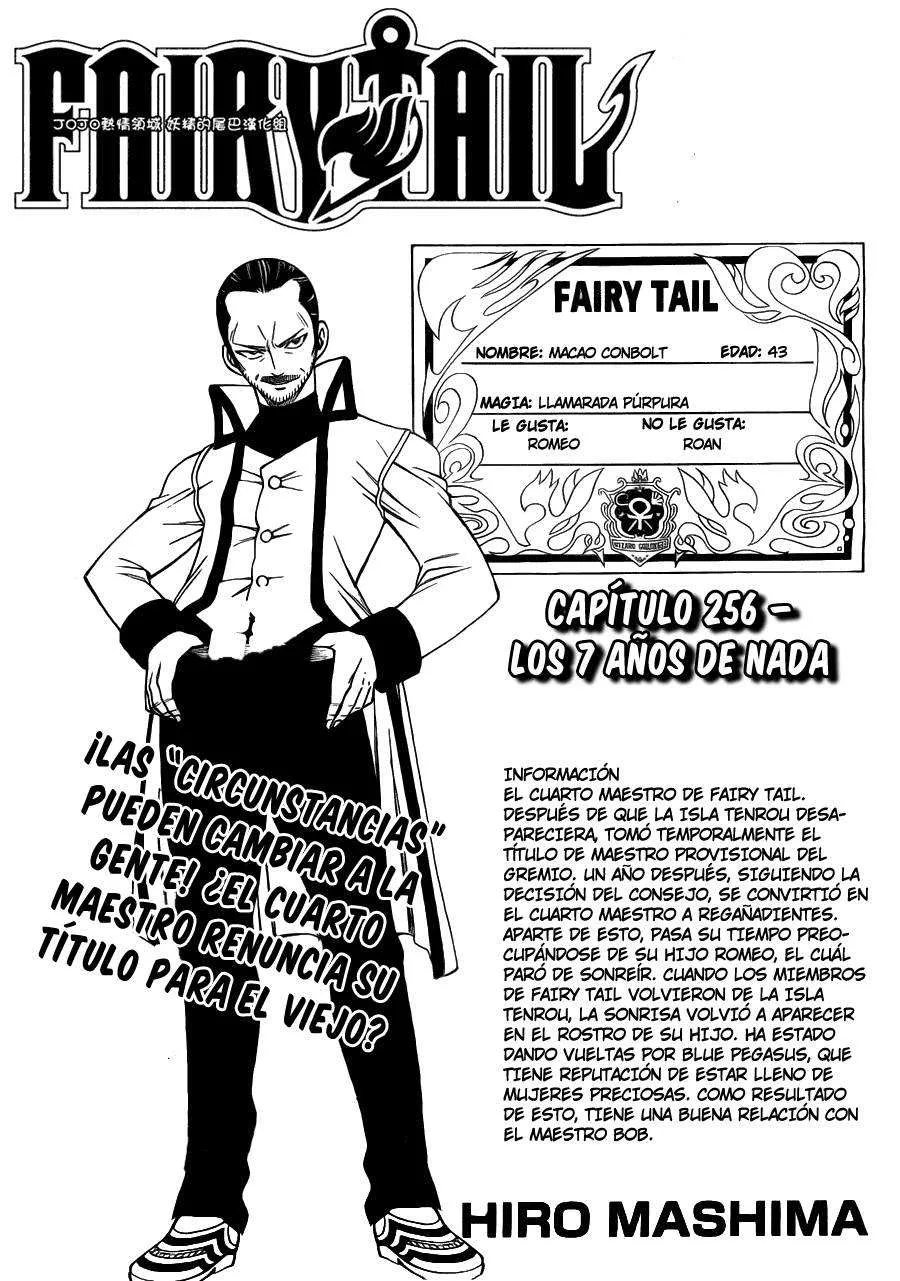 Fairy Tail Capítulo 256 en Línea - página 1