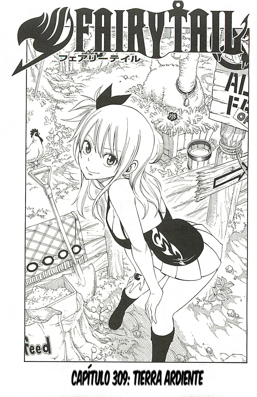 Fairy Tail Capítulo 309 en Línea - página 1