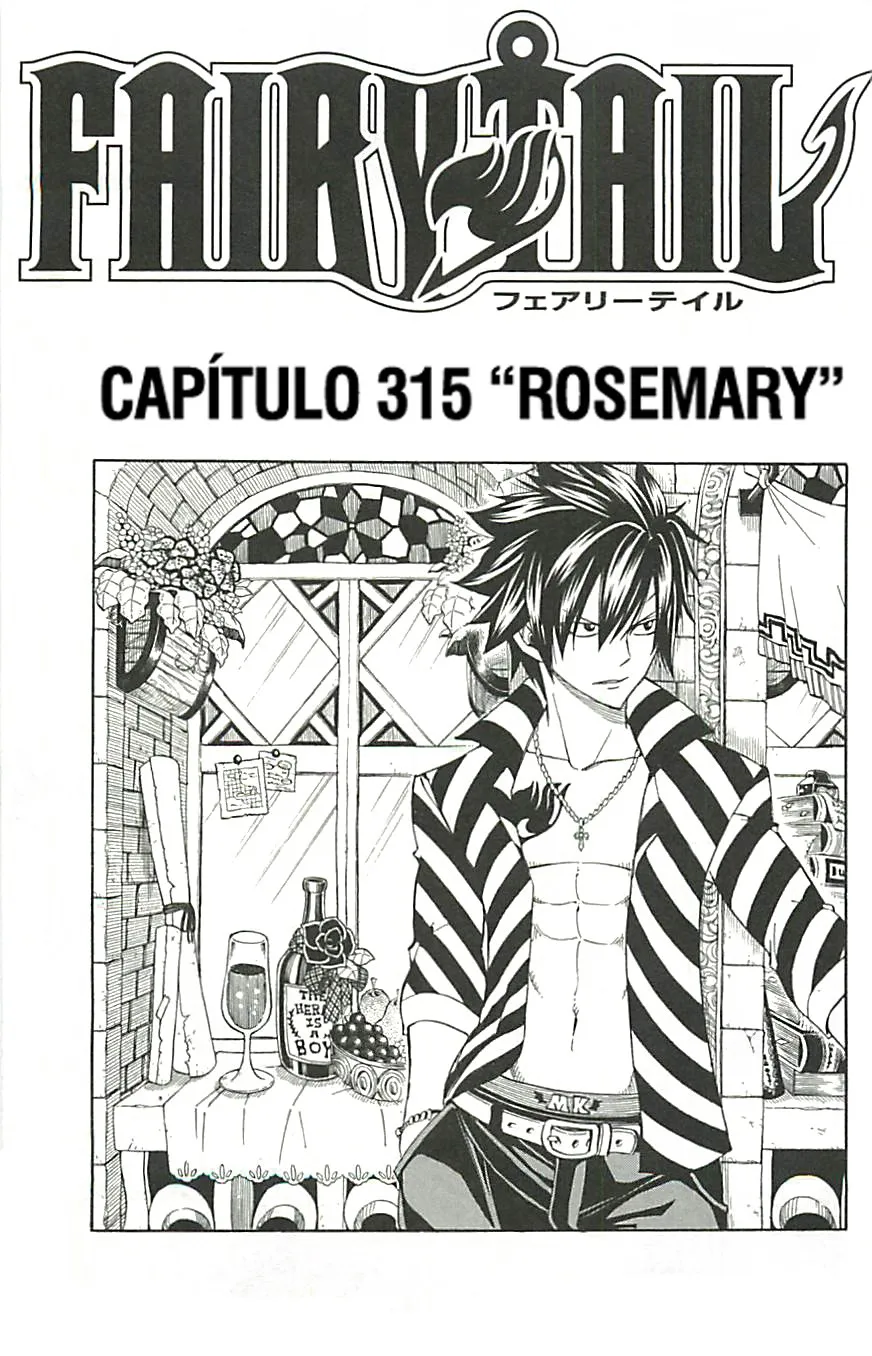 Fairy Tail Capítulo 315 en Línea - página 1