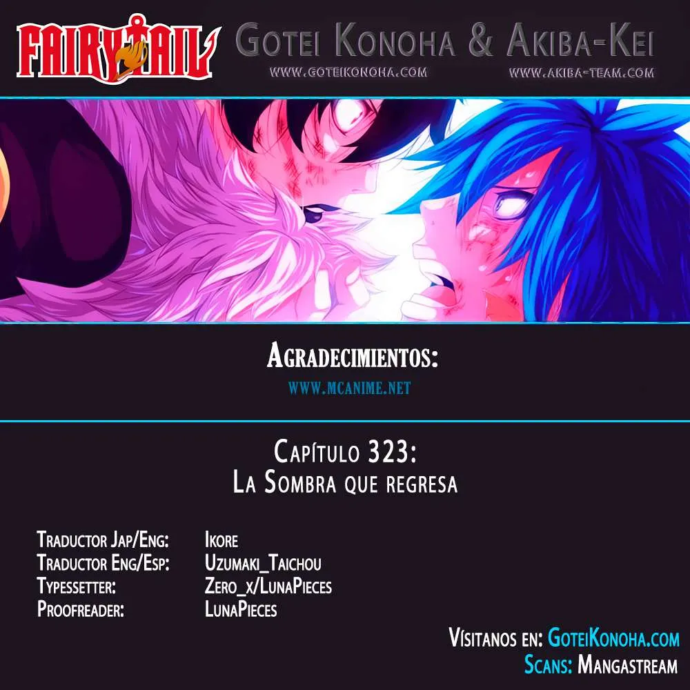 Fairy Tail Capítulo 323 en Línea - página 1