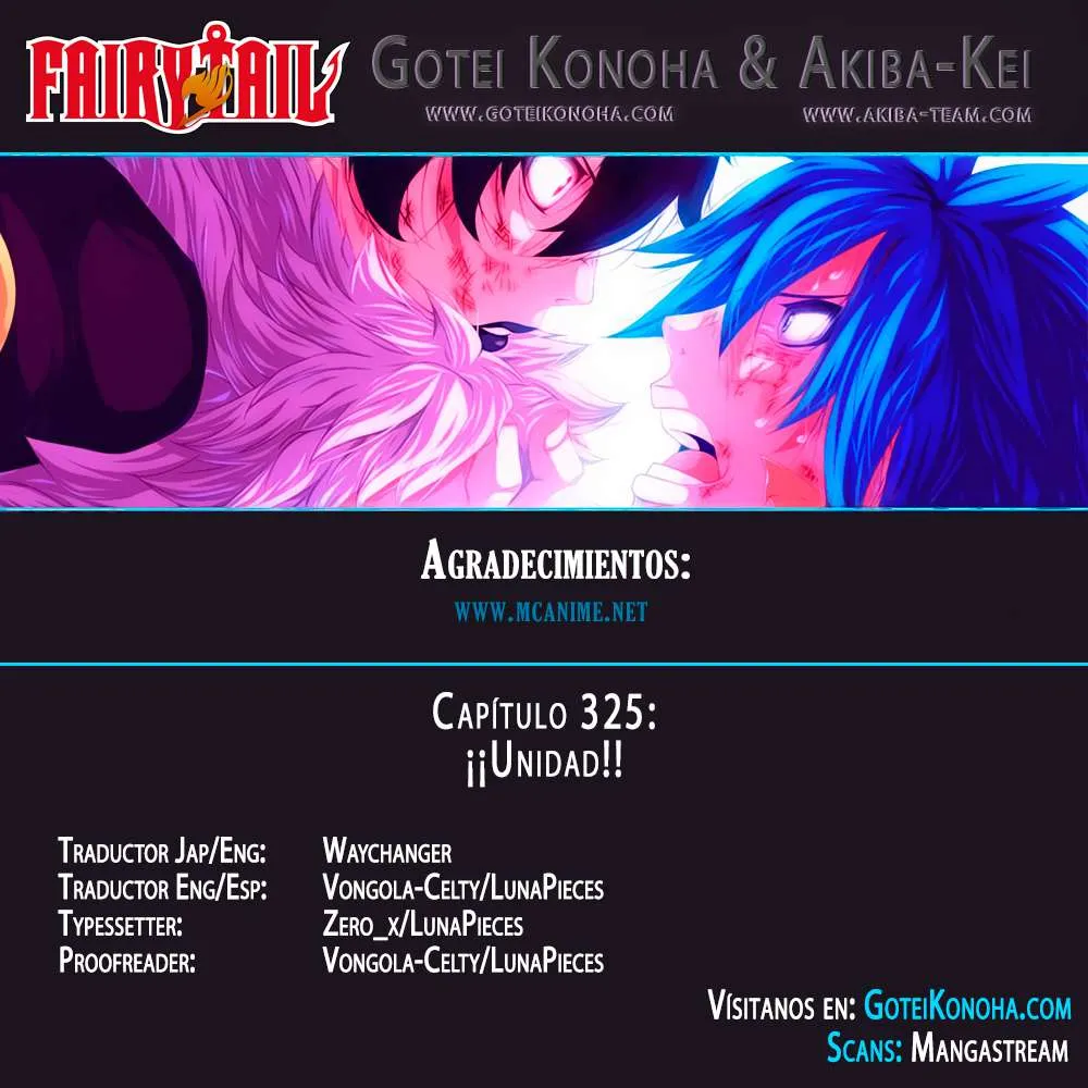 Fairy Tail Capítulo 325 en Línea - página 1
