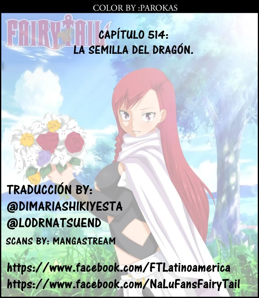 Fairy Tail Capítulo 514 en Línea - página 1