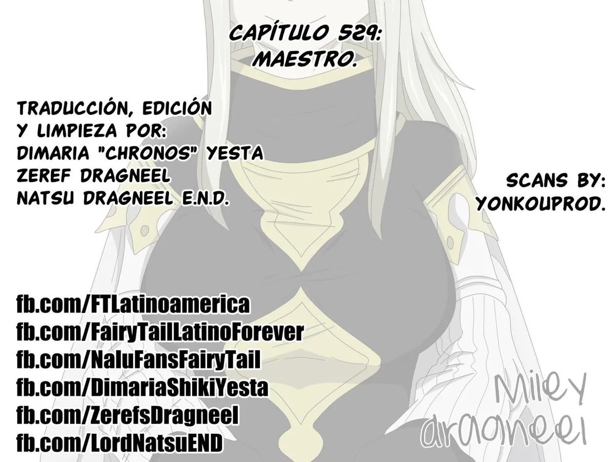 Fairy Tail Capítulo 529 en Línea - página 1