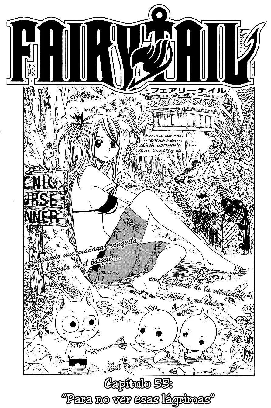 Fairy Tail Capítulo 55 en Línea - página 1