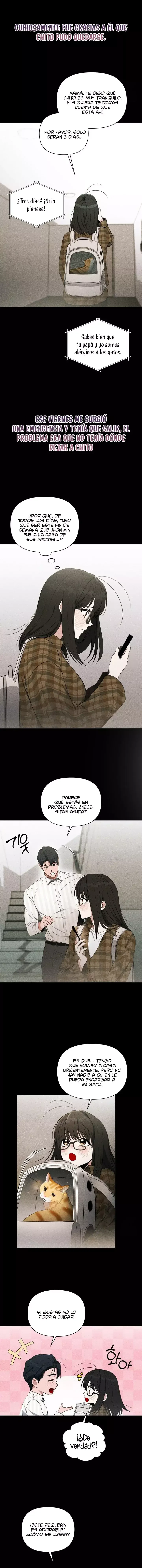 Falsa Apariencia Capítulo 3 en Línea - página 15