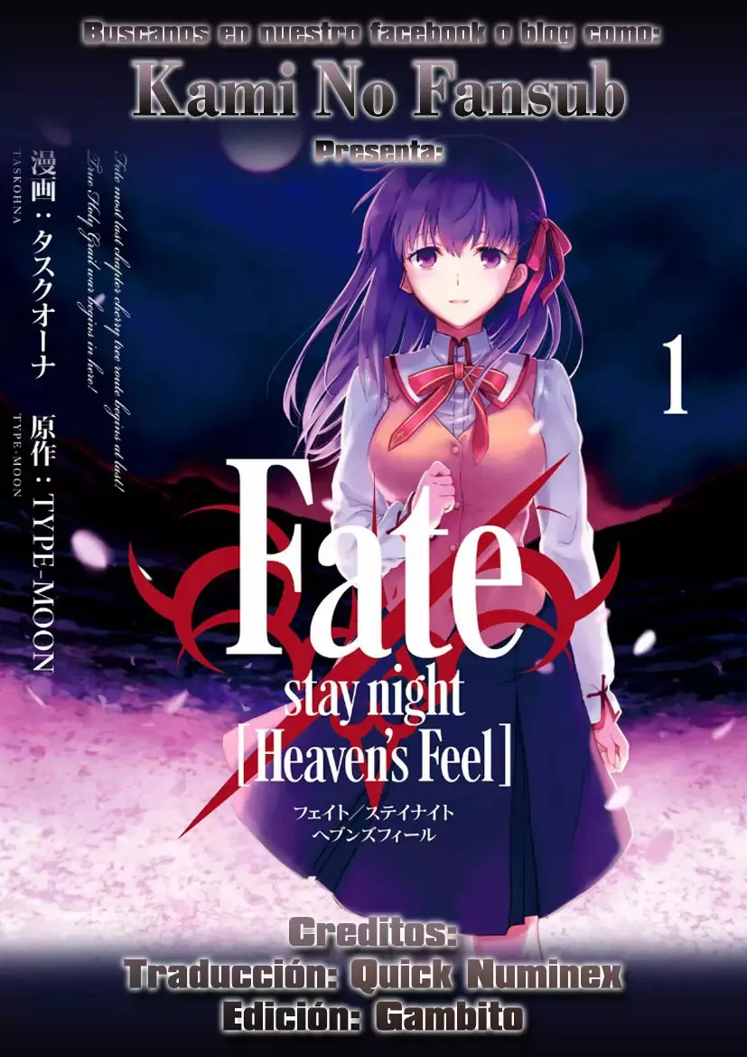 Fate/stay night: Heavens Feel Capítulo 33 en Línea - página 1