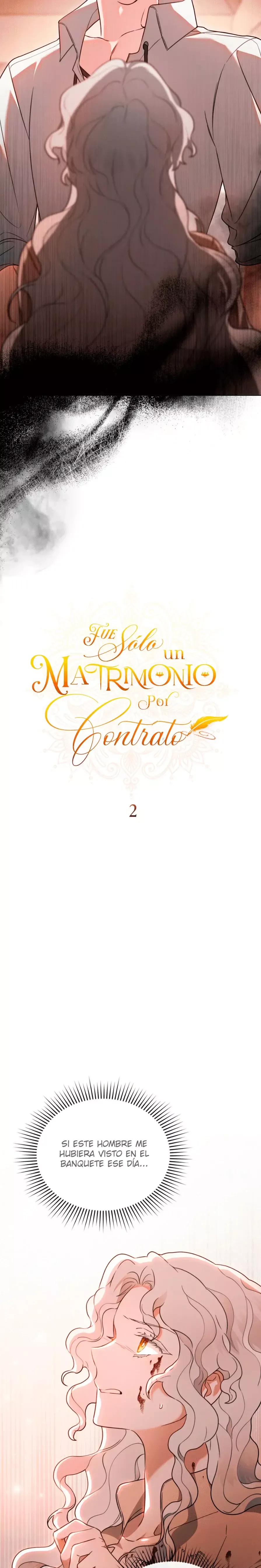 FUE SOLO UN MATRIMONIO POR CONTRATO Capítulo 2 en Línea - página 12