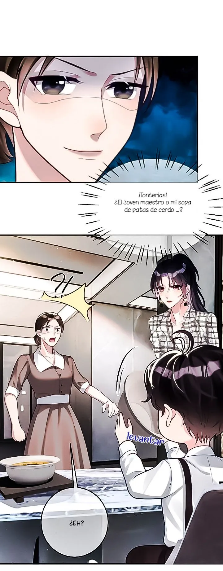 Hermosos tesoros celestiales. Sr.Huo firme por favor. Capítulo 15 en Línea - página 15