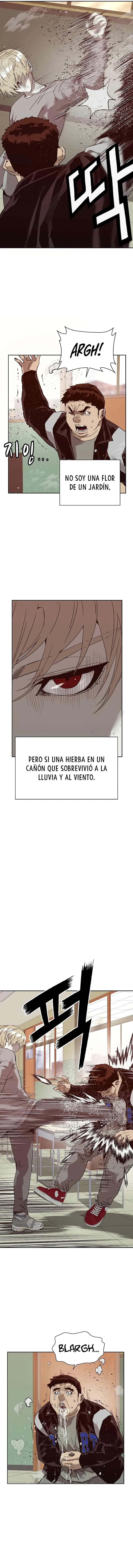 Héroe débil Capítulo 260 en Línea - página 3