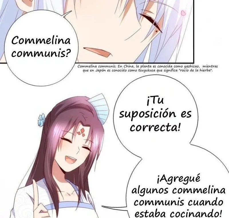 Holy Chef, Crazy Empress Capítulo 39 en Línea - página 25
