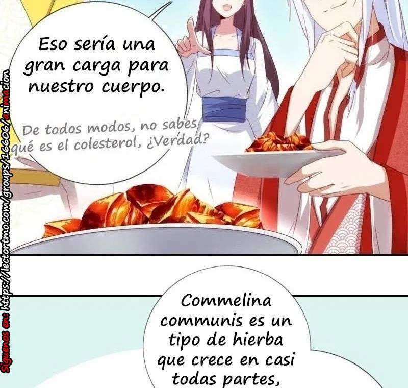 Holy Chef, Crazy Empress Capítulo 39 en Línea - página 28