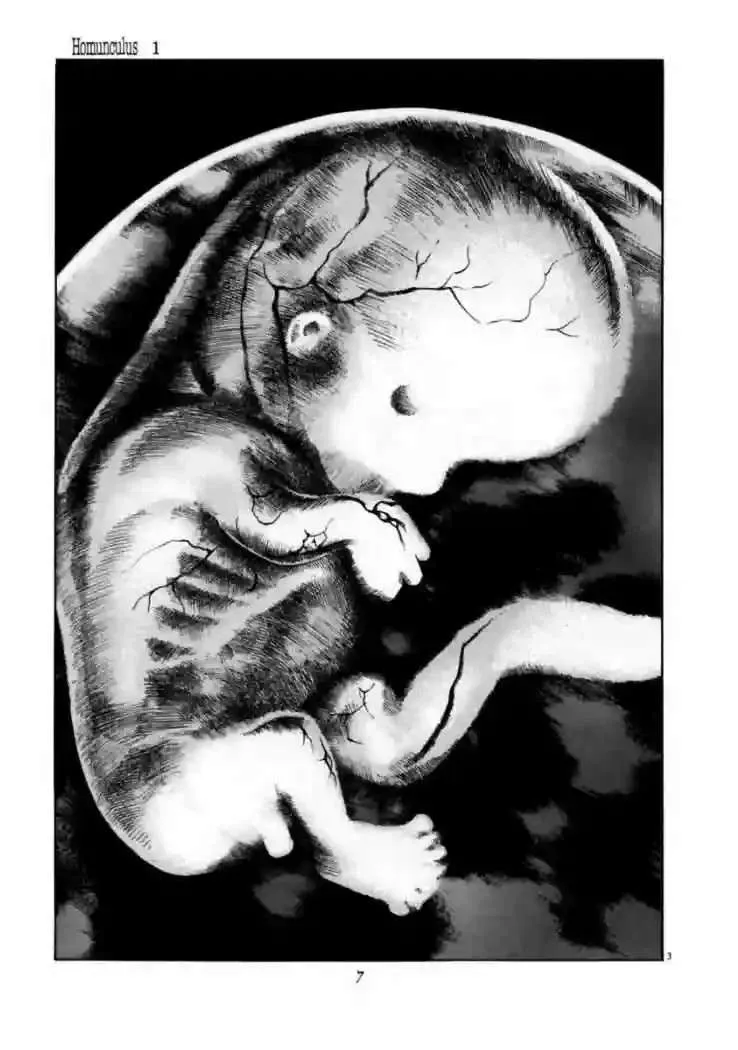Homunculus Capítulo 1 en Línea - página 7