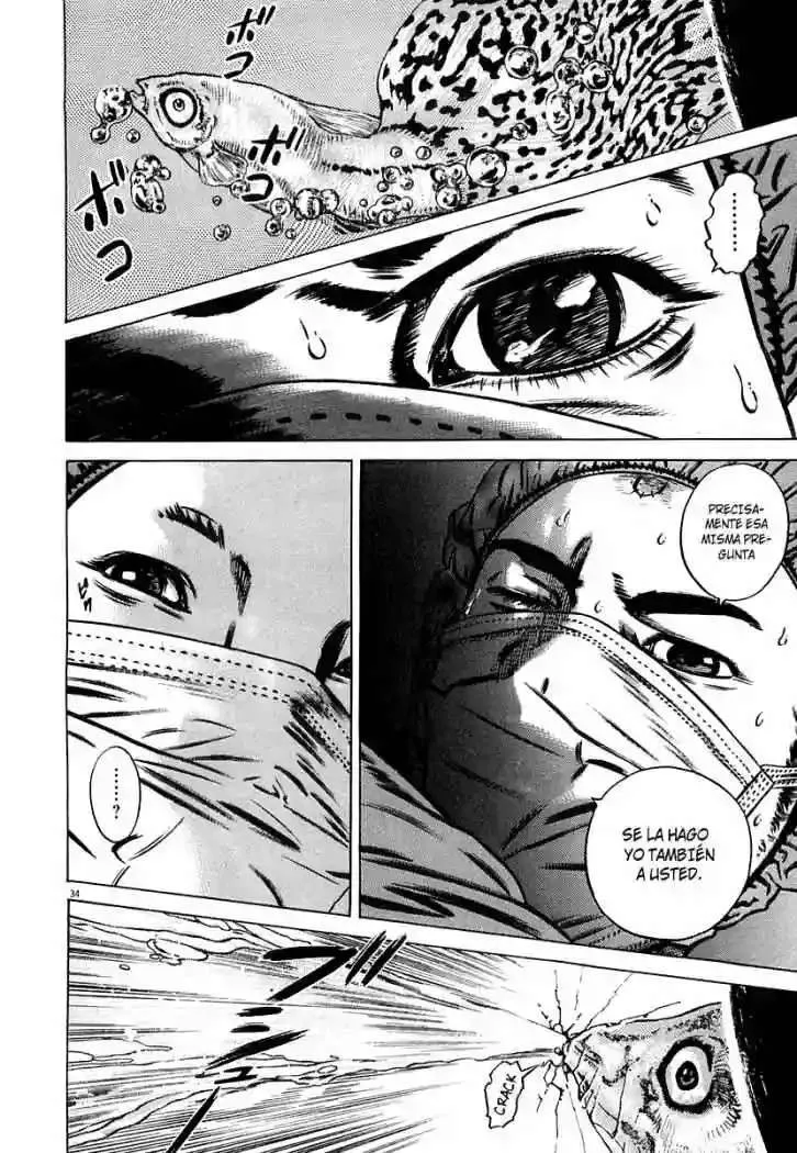 Homunculus Capítulo 32 en Línea - página 38