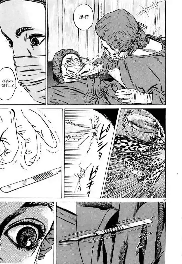 Homunculus Capítulo 32 en Línea - página 41