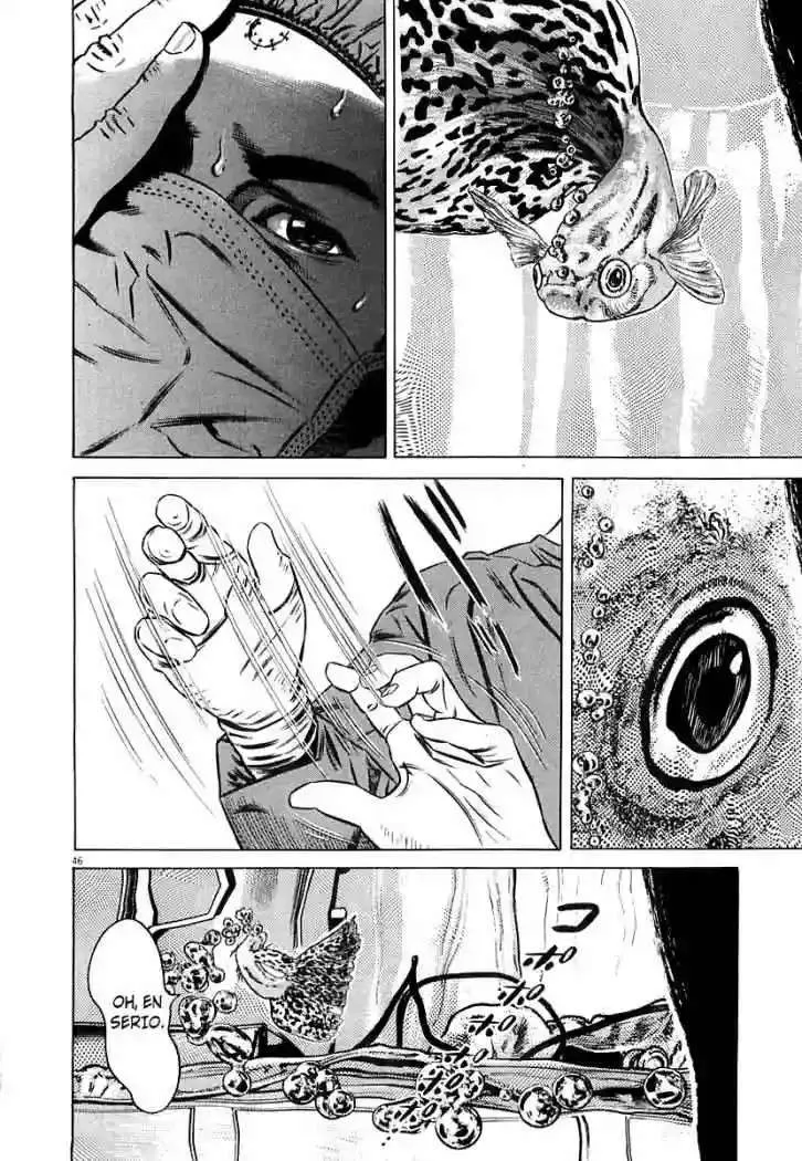 Homunculus Capítulo 32 en Línea - página 49