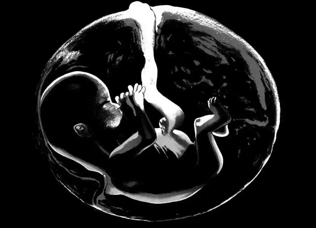 Homunculus Capítulo 39 en Línea - página 48