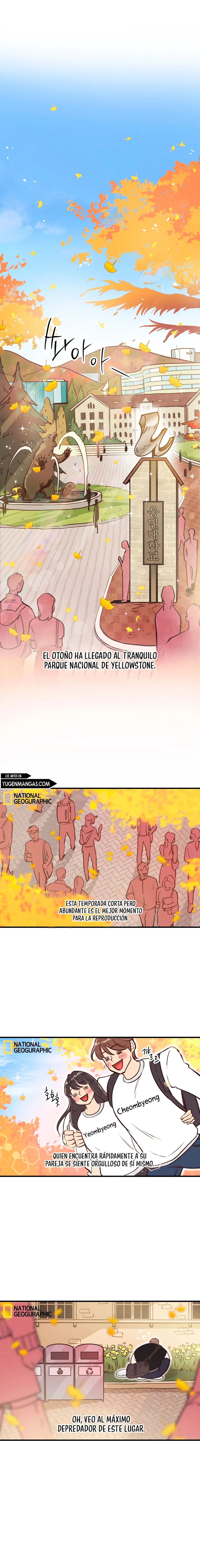 honey bear Capítulo 31 en Línea - página 1