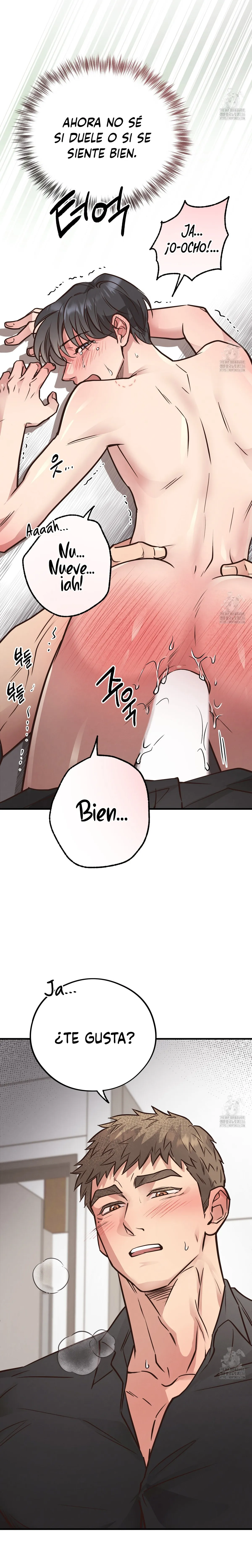 honey bear Capítulo 41 en Línea - página 23