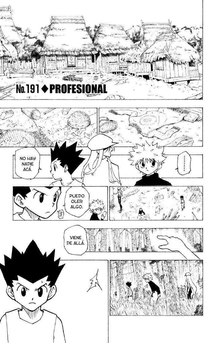 Hunter X Hunter Capítulo 191 en Línea - página 1