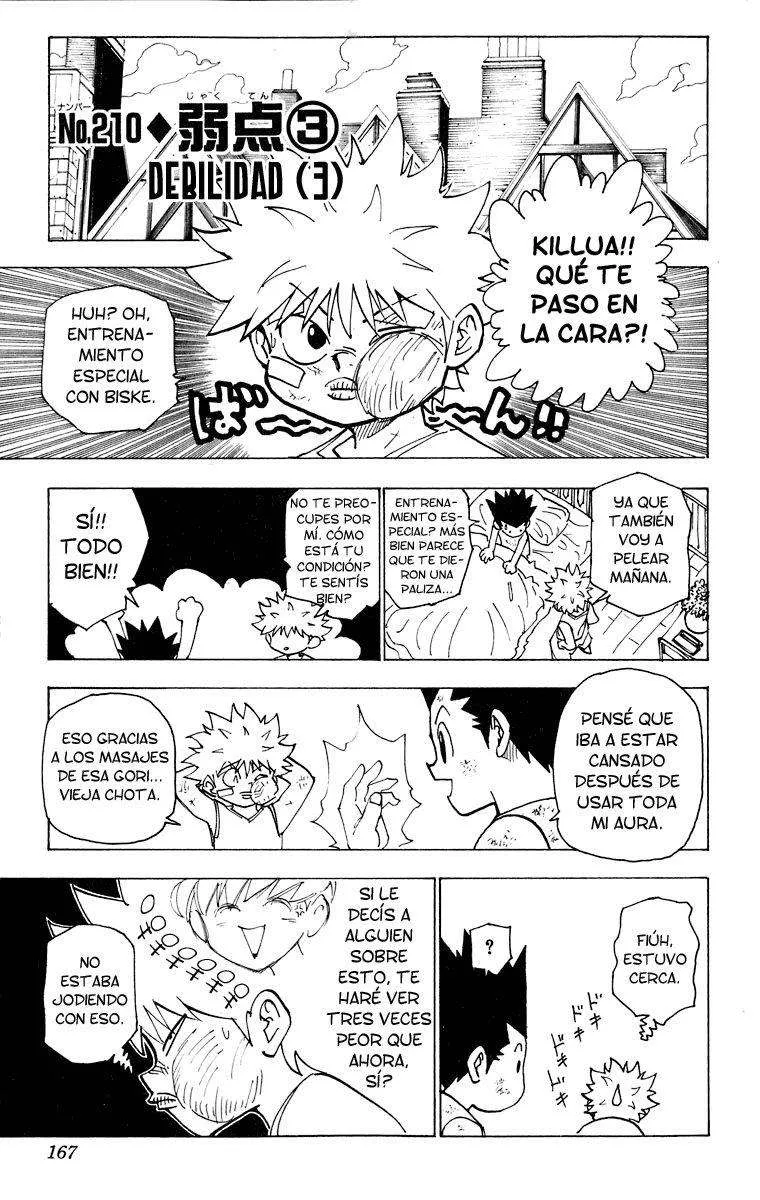Hunter X Hunter Capítulo 210 en Línea - página 1