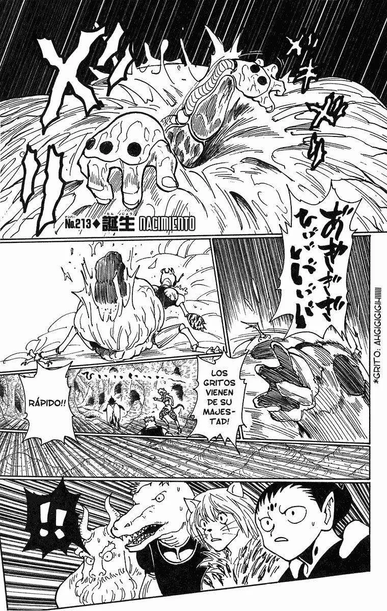 Hunter X Hunter Capítulo 213 en Línea - página 1