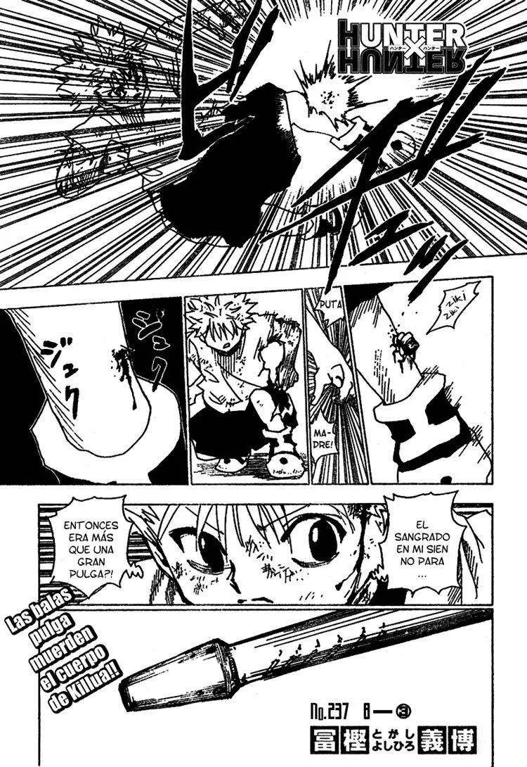 Hunter X Hunter Capítulo 237 en Línea - página 1