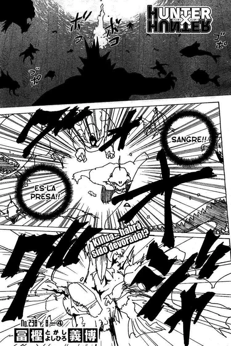Hunter X Hunter Capítulo 238 en Línea - página 1