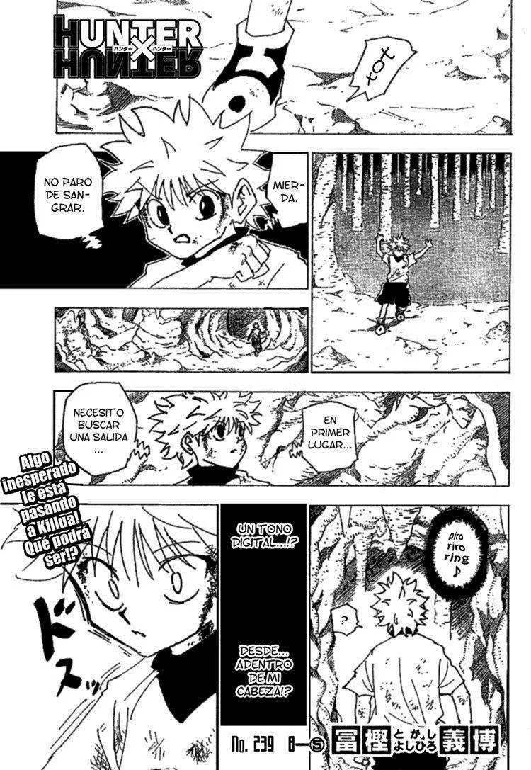 Hunter X Hunter Capítulo 239 en Línea - página 1